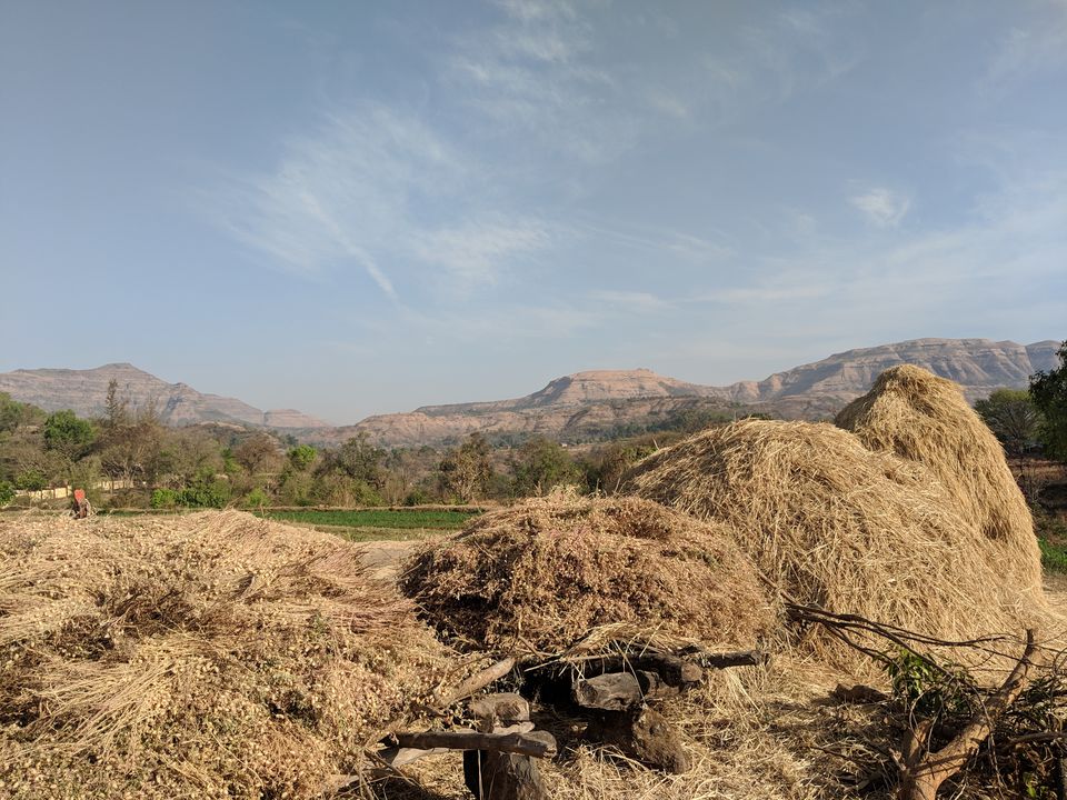 Photo of A day in the hinterland of India... by Saumitra Shinde