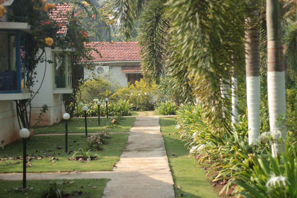 Photo of Chasing breeze - Sidz Cottage Alibaug by Saumitra Shinde