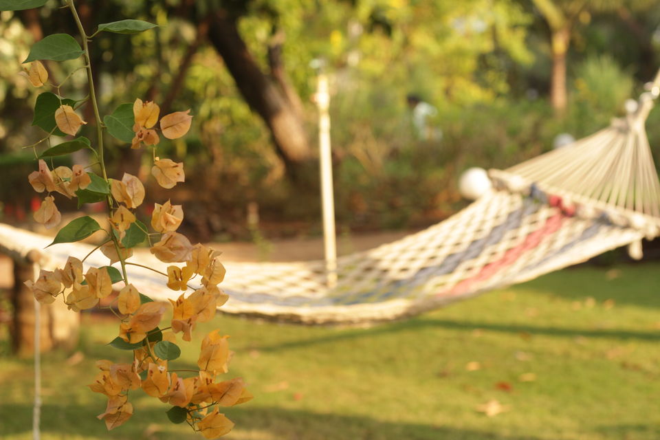 Photo of Chasing breeze - Sidz Cottage Alibaug by Saumitra Shinde