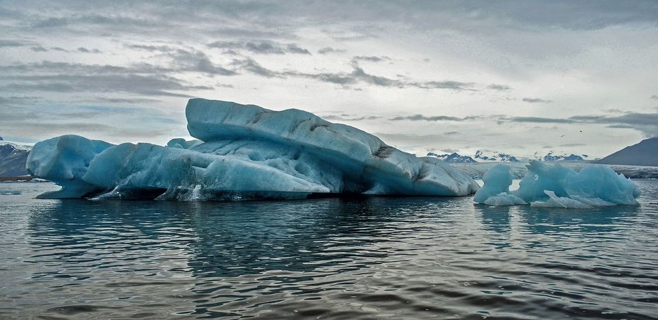 Photo of Have you heard about the climate emergency declared by NYC? 1/1 by Saumitra Shinde