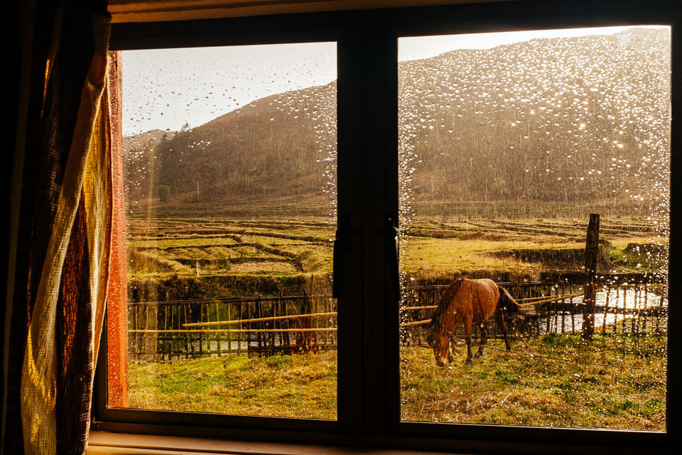 Photo of Going Green, One Shade at a Time: Meet Vinod Sreedhar, Founder of Journeys With Meaning 5/10 by Saumitra Shinde