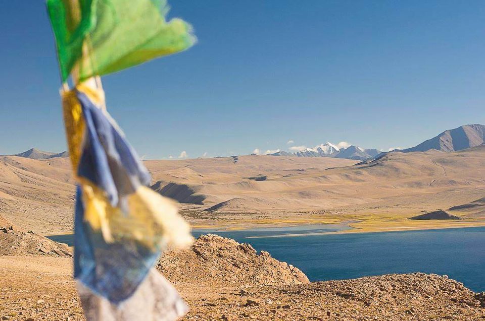 Photo of Going Green, One Shade at a Time: Meet Vinod Sreedhar, Founder of Journeys With Meaning 2/10 by Saumitra Shinde