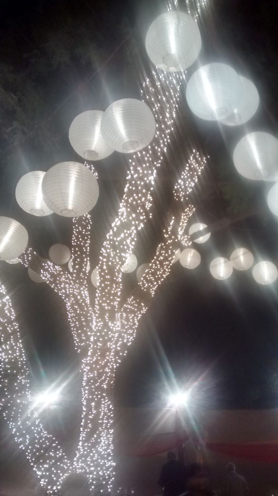 Photo of A wedding in Delhi 6/7 by Saumitra Shinde