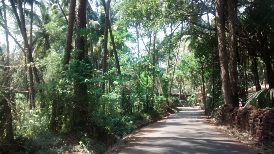 Photo of Goa in pictures – Memories of my first solo trip by Saumitra Shinde