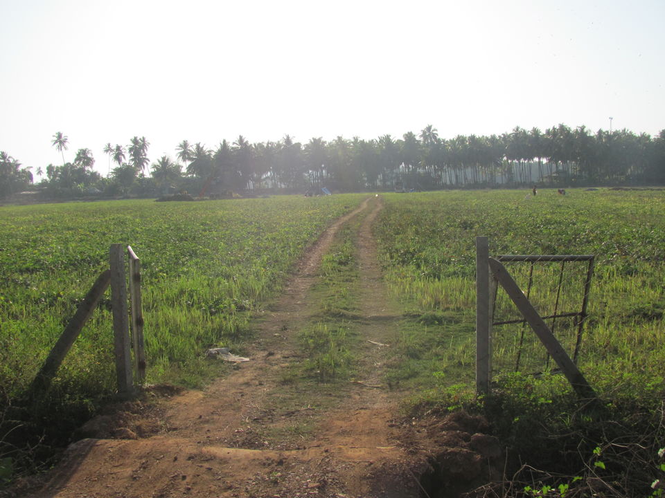 Photo of A solo tryst with the enchanting Goa – Part 1 by Saumitra Shinde