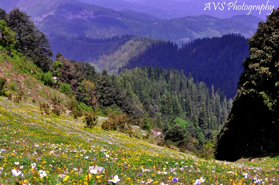Photo of Sangla, Himachal Pradesh, India by Arun Singh