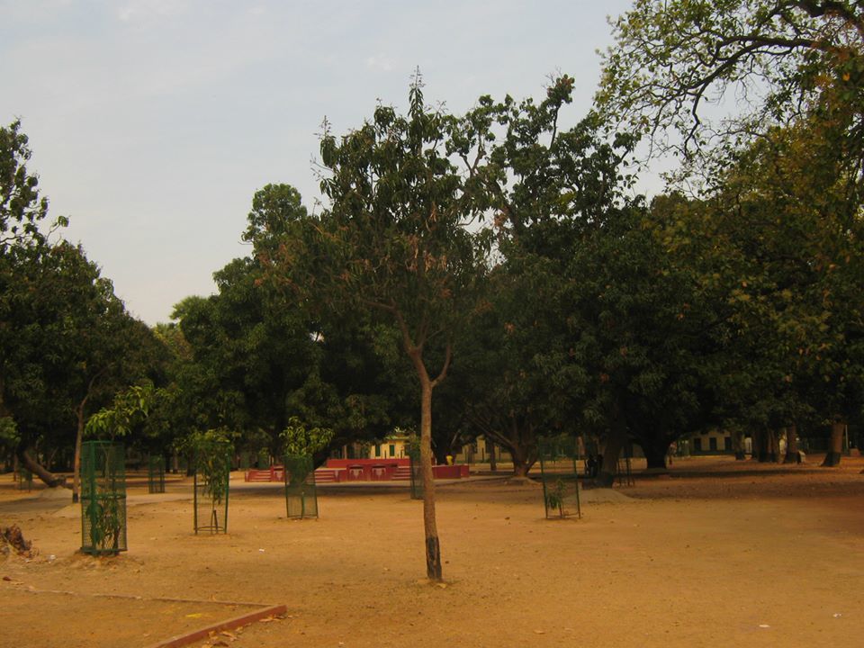 Photo of Bolpur-Santiniketan: A Pastoral. Situated: Near Kolkata, West Bengal.Duration of Stay: 2-3 days 4/14 by Madhurima Mazumder