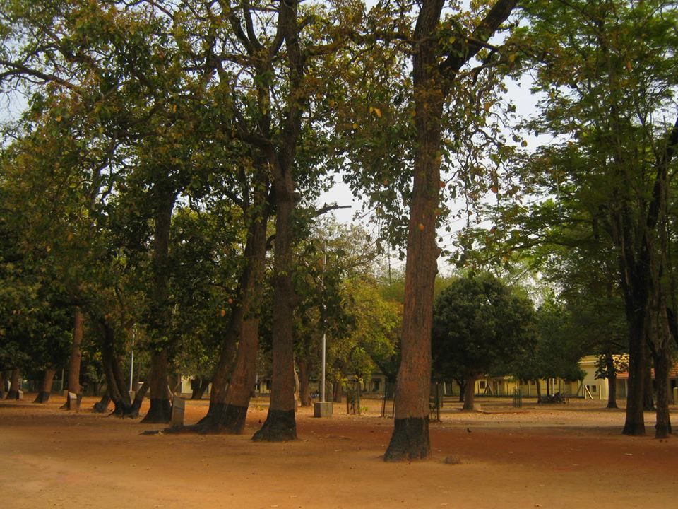 Photo of Bolpur-Santiniketan: A Pastoral. Situated: Near Kolkata, West Bengal.Duration of Stay: 2-3 days 8/14 by Madhurima Mazumder