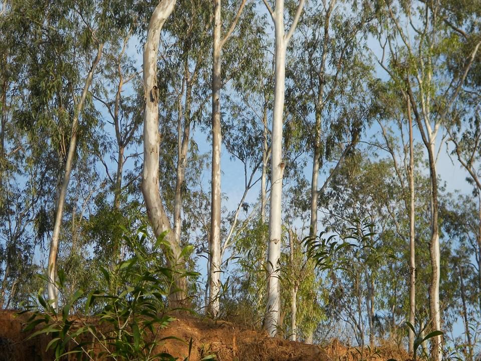 Photo of Bolpur-Santiniketan: A Pastoral. Situated: Near Kolkata, West Bengal.Duration of Stay: 2-3 days 10/14 by Madhurima Mazumder