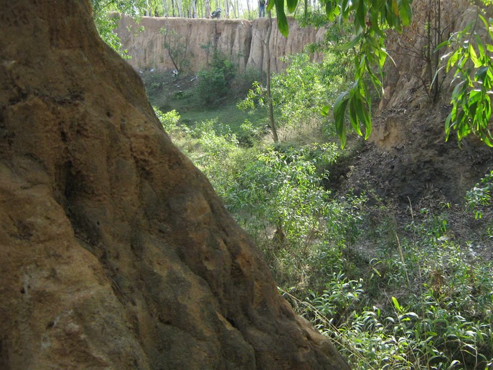 Photo of Bolpur-Santiniketan: A Pastoral. Situated: Near Kolkata, West Bengal.Duration of Stay: 2-3 days 14/14 by Madhurima Mazumder