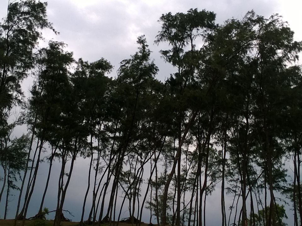 Photo of A Tiny Trip to the Sea in West Bengal: Shankarpur and Digha. 4/21 by Madhurima Mazumder