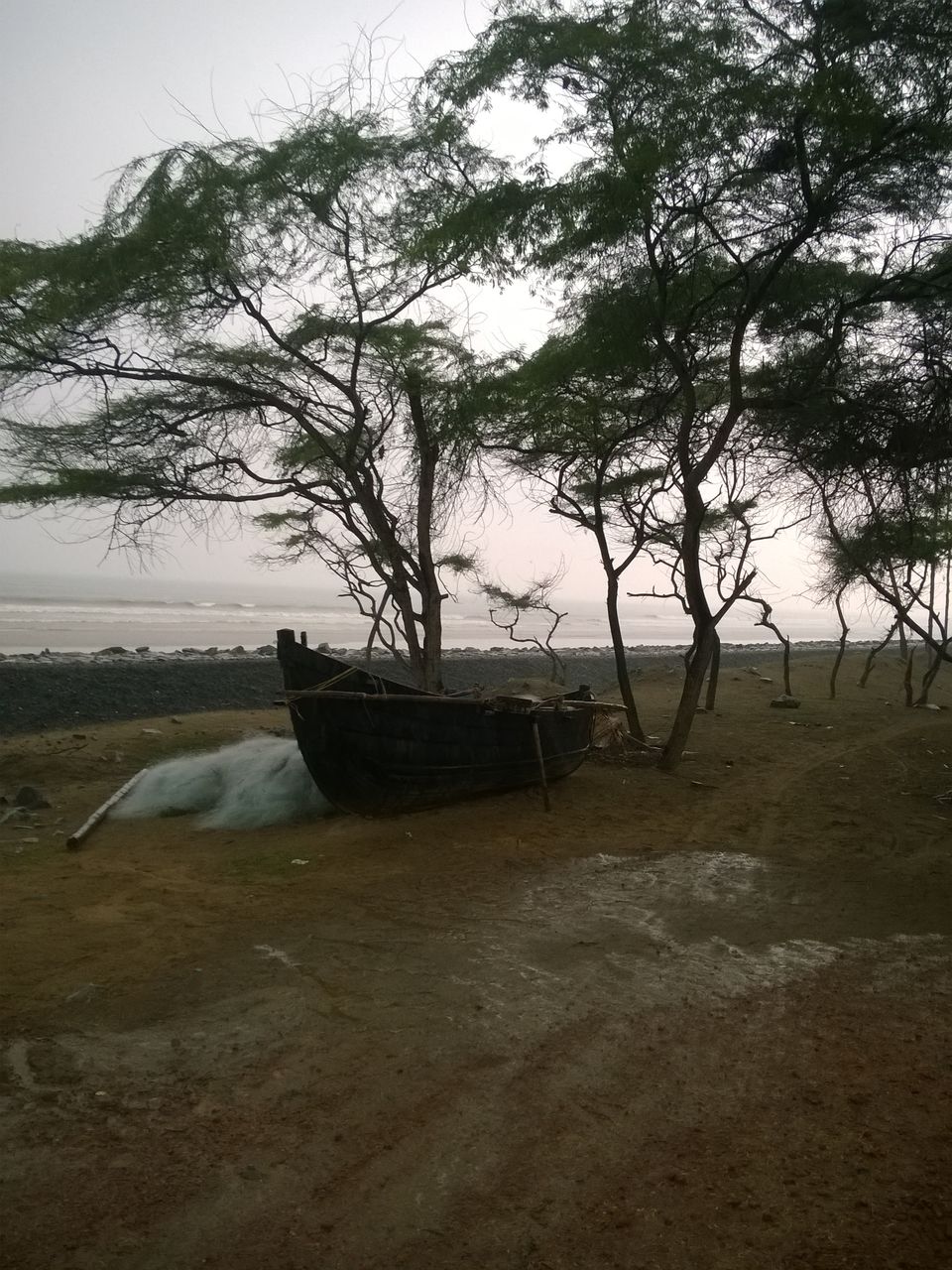 Photo of A Tiny Trip to the Sea in West Bengal: Shankarpur and Digha. 13/21 by Madhurima Mazumder