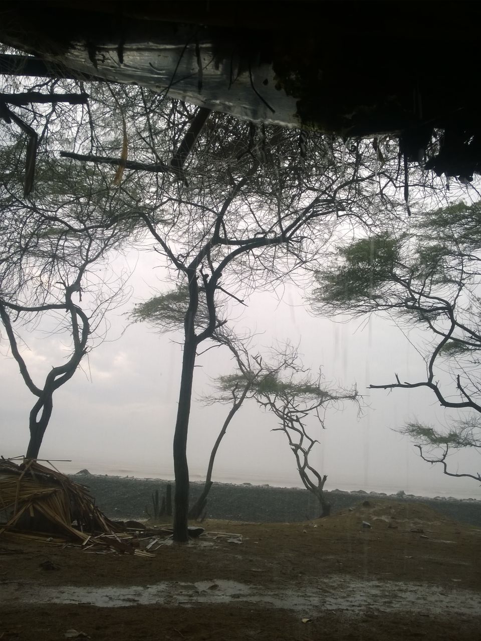 Photo of A Tiny Trip to the Sea in West Bengal: Shankarpur and Digha. 15/21 by Madhurima Mazumder