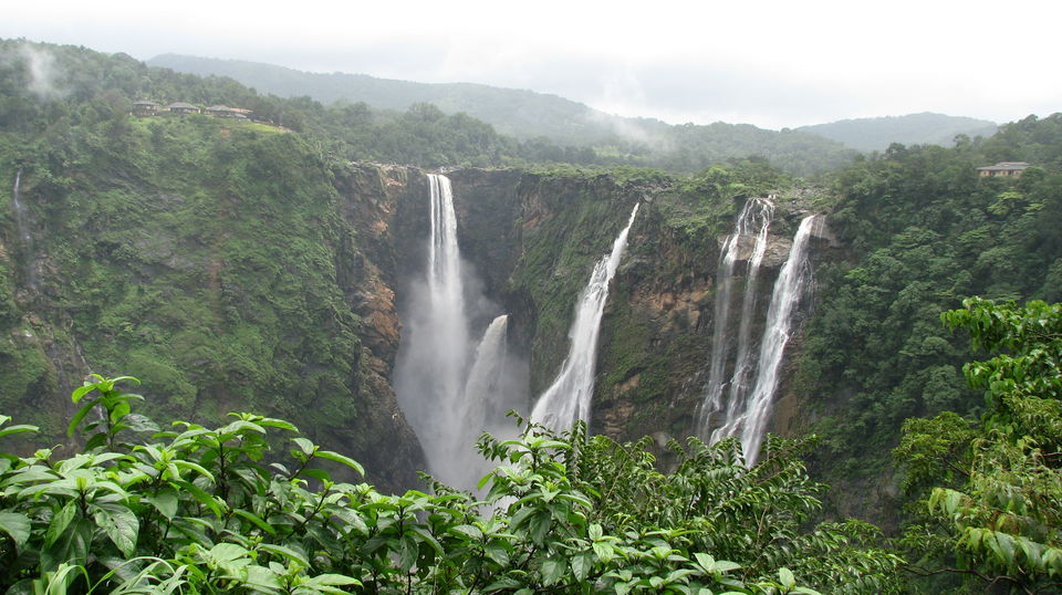 Photo of Shimoga: The Mighty Jog Falls 6/6 by Mike