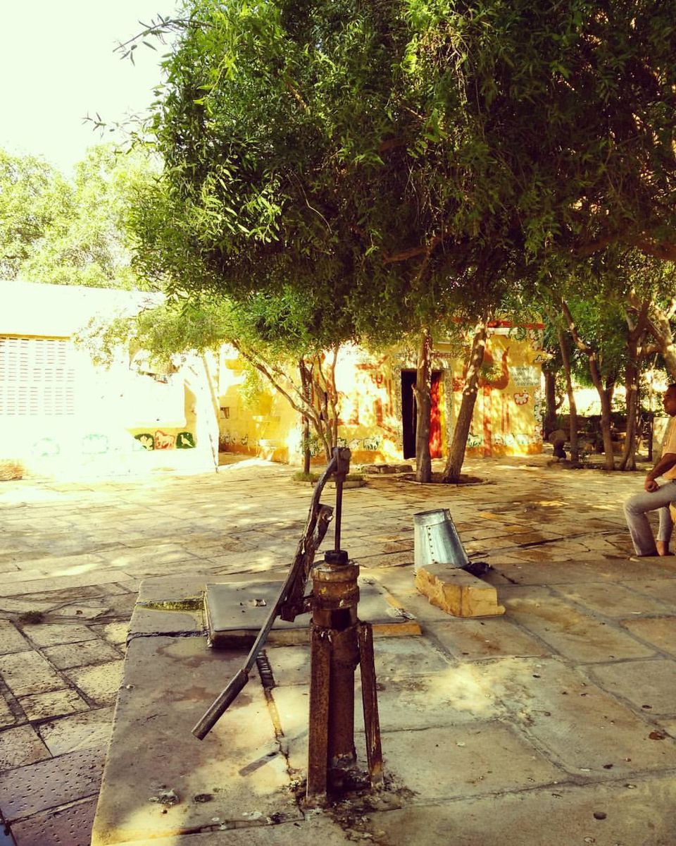 Photo of My first solo trip to Jaisalmer aka the Golden City by Divya Singh