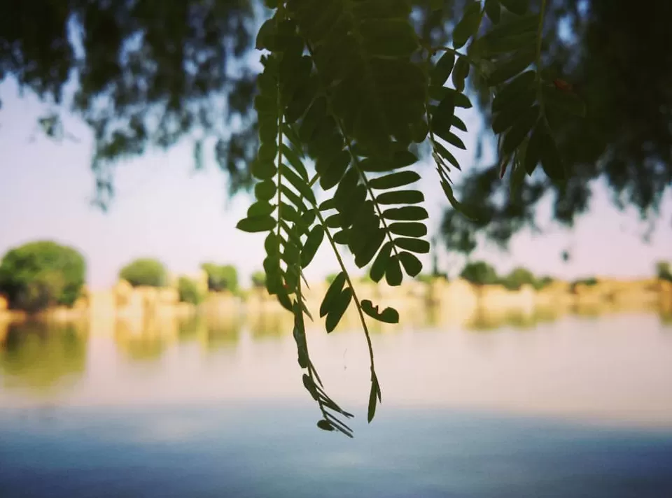 Photo of Gadisar lake, Jaisalmer by Divya Singh