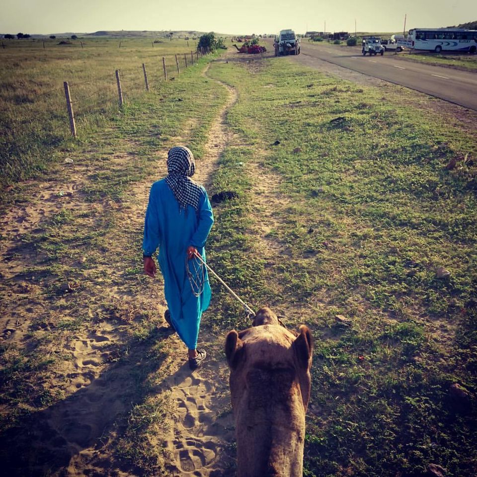 Photo of My first solo trip to Jaisalmer aka the Golden City by Divya Singh