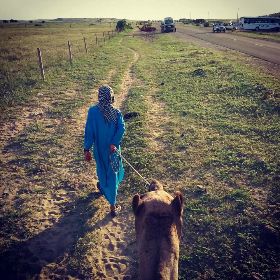 Photo of Thar Desert, Thar Desert by Divya Singh