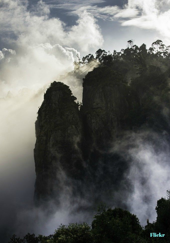 Photo of Solo Tranquility: Walks into Sunshiny Woods of Kodaikanal 13/21 by Sneha Gupta