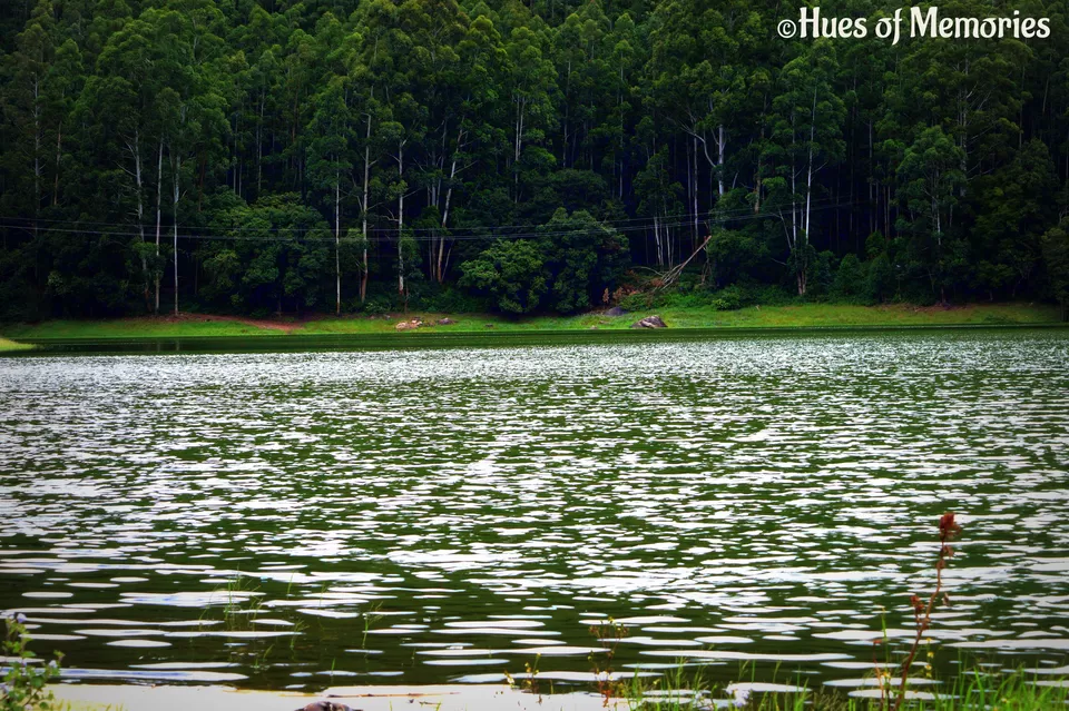 Photo of Munnar, Kerala, India by Sneha Gupta