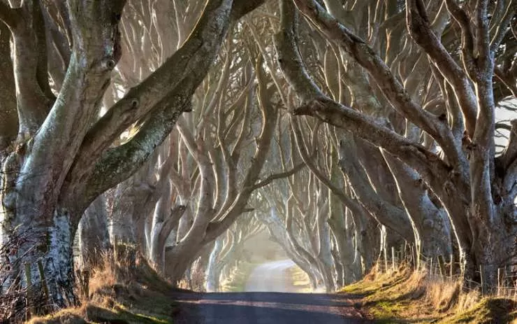 Photo of Northern Ireland, UK by Travelpoppers