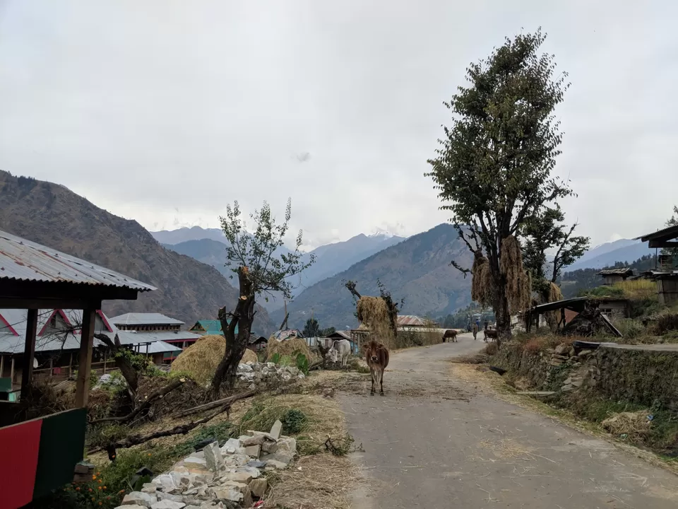 Photo of My Secret Village Crush | Not Yet Ready To Reveal Its Name by Damini Arora