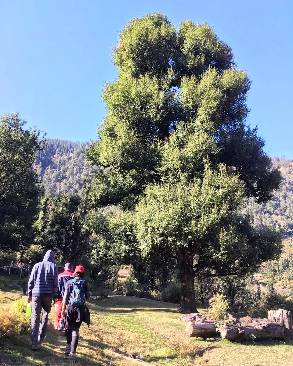 Photo of My Secret Village Crush | Not Yet Ready To Reveal Its Name by Damini Arora