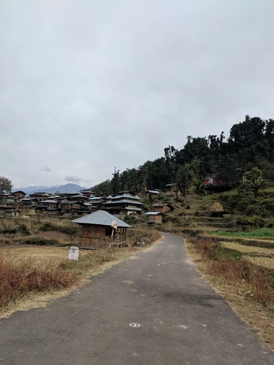Photo of My Secret Village Crush | Not Yet Ready To Reveal Its Name by Damini Arora
