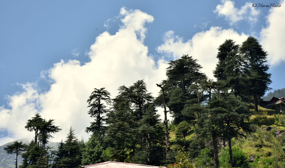 Photo of Manali, Himachal Pradesh, India by Maria Habib