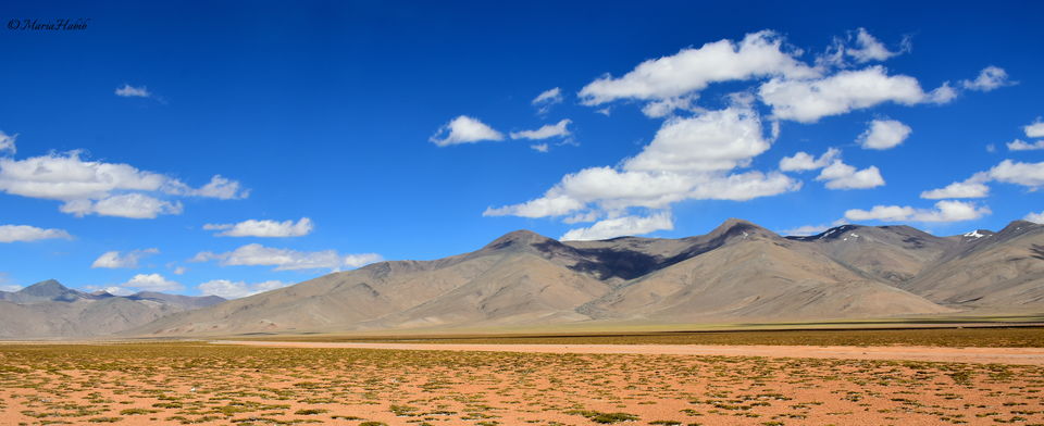 Photo of Moray Plain by Maria Habib