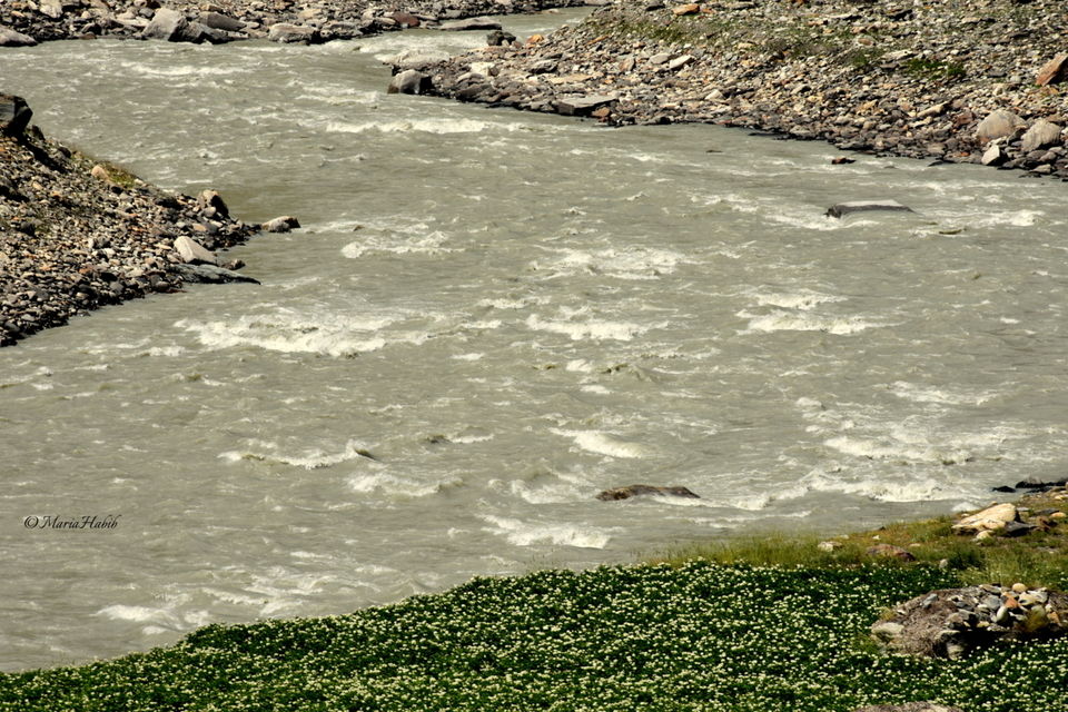 Photo of Rowing through Himalayas-Manali to Sarchu. by Maria Habib