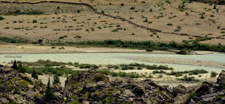 Photo of Part 2: Manali to Sarchu. 15/31 by Maria Habib