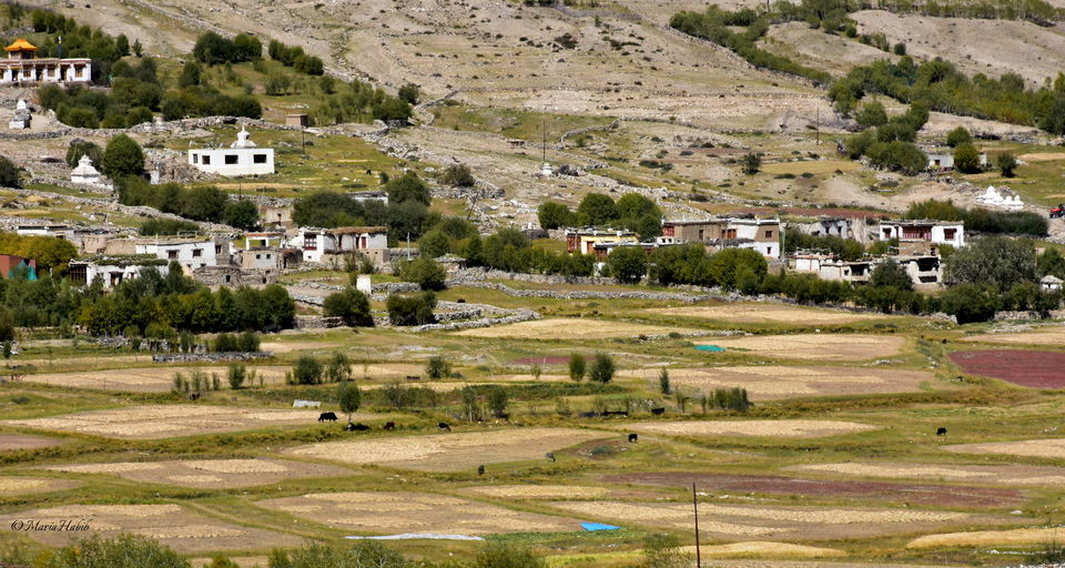 Photo of From Leh to Nubra Valley... by Maria Habib