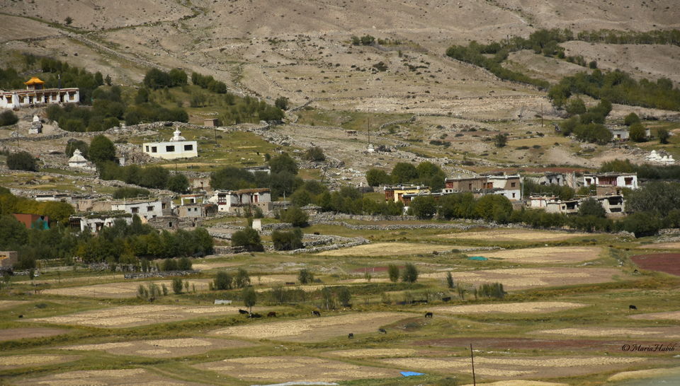 Photo of From Leh to Nubra Valley... by Maria Habib