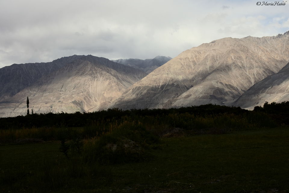 Photo of From Leh to Nubra Valley... by Maria Habib