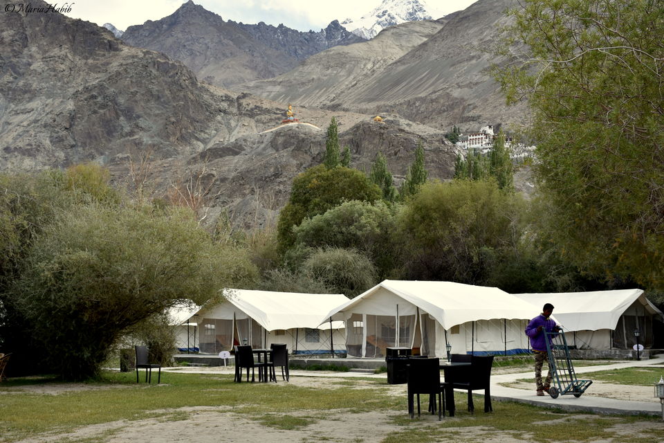Photo of From Leh to Nubra Valley... by Maria Habib