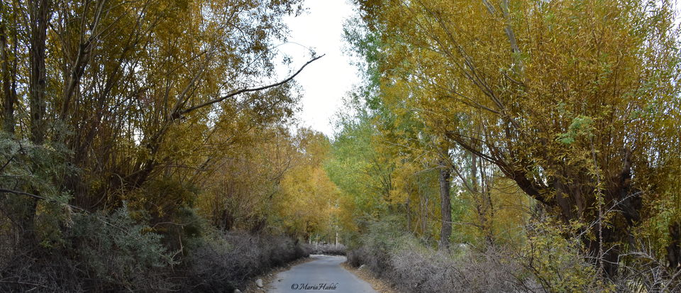 Photo of From Leh to Nubra Valley... by Maria Habib