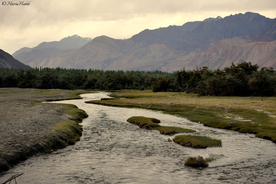 Photo of From Leh to Nubra Valley... by Maria Habib