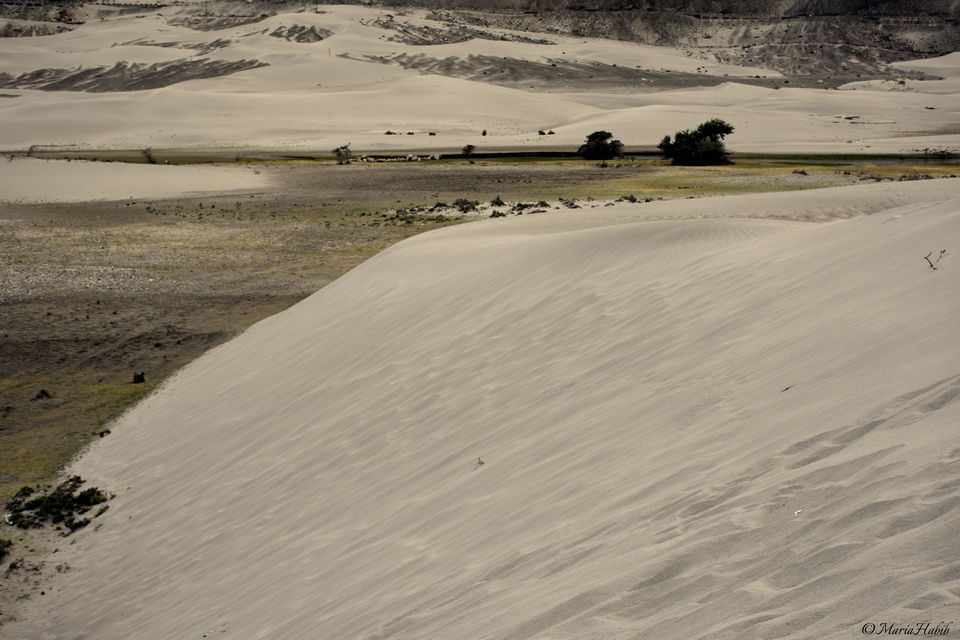 Photo of Hunder Sand Dunes by Maria Habib