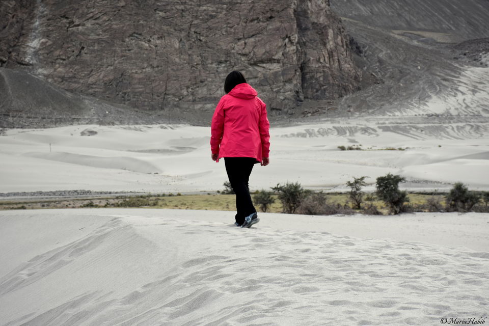 Photo of Hunder Sand Dunes by Maria Habib