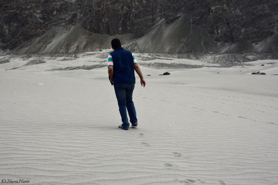 Photo of Hunder Sand Dunes by Maria Habib
