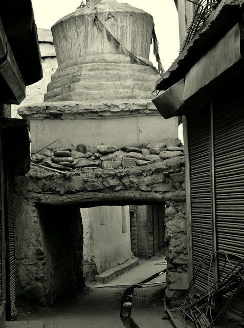 Photo of Part 7: An ode to land of Lamas 8/10 by Maria Habib