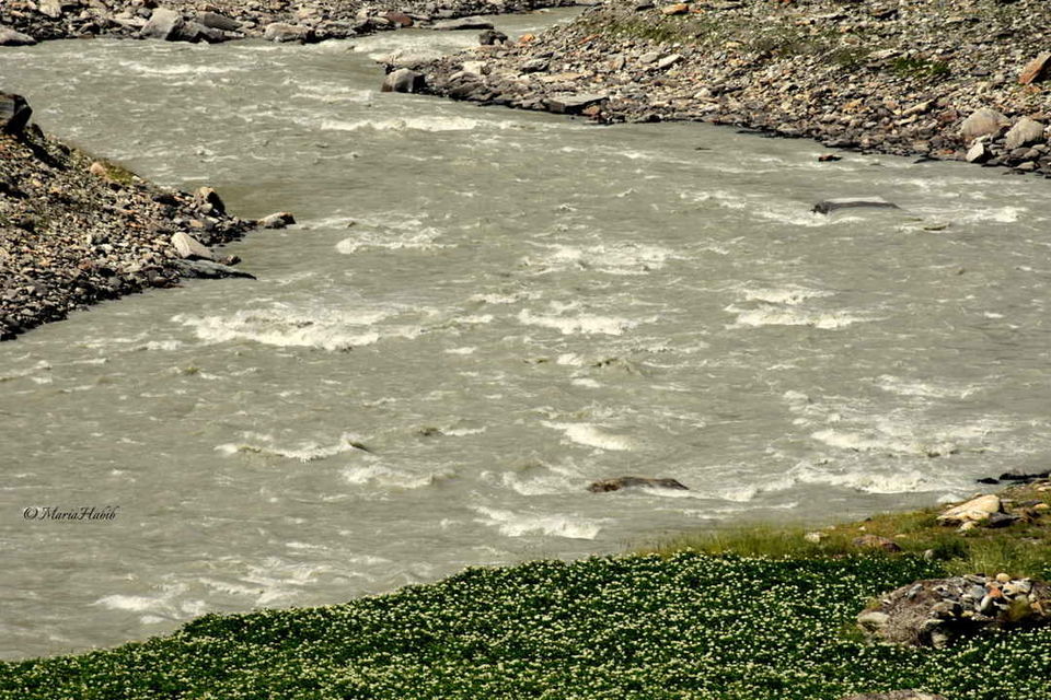 Photo of Part 2: Manali to Sarchu. 9/31 by Maria Habib