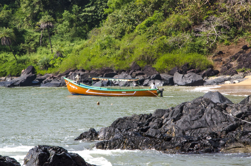 Photo of Beach Trek - Gokarna to Honnavar 4/11 by Manoharan Sakthivel