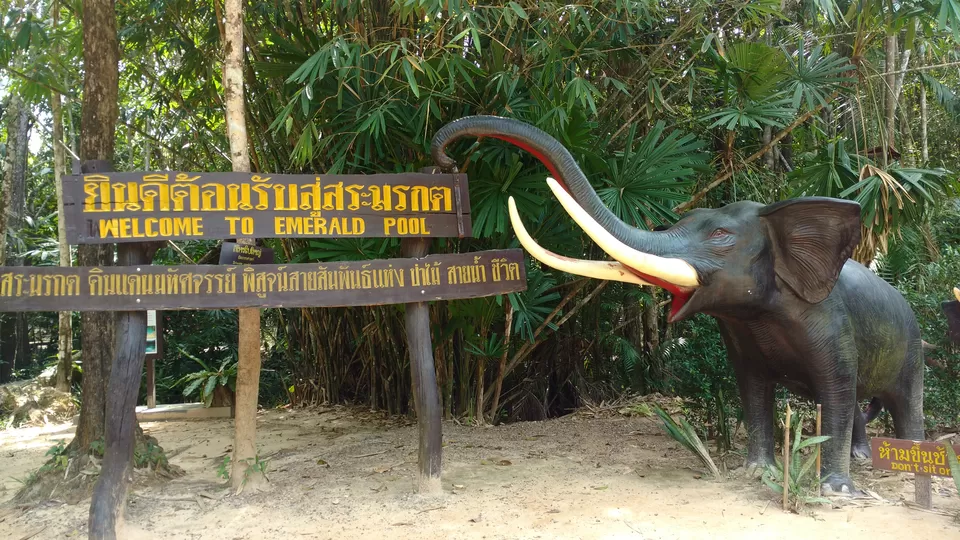 Photo of Emerald Pool Khlong Thom Nuea Krabi Thailand by MissDoLittle a.k.a Khushbu Jhaveri