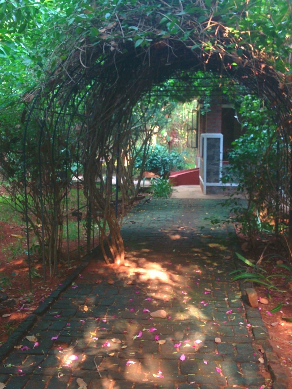 Photo of A Pool, Private Garden and Organic Living, This Is The Holiday You Dream About by MissDoLittle a.k.a Khushbu Jhaveri