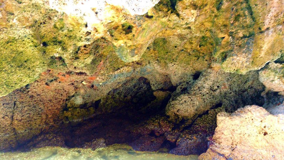 Photo of Chasing Rainbows, Mangroves And Caves: Why Kayaking In Krabi Should Be On Your Adventure List 2/2 by MissDoLittle a.k.a Khushbu Jhaveri