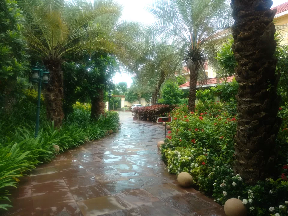 Photo of On A Road Trip To Sansan Gir? This Luxurious Resort Is The Stopover You Need by MissDoLittle a.k.a Khushbu Jhaveri