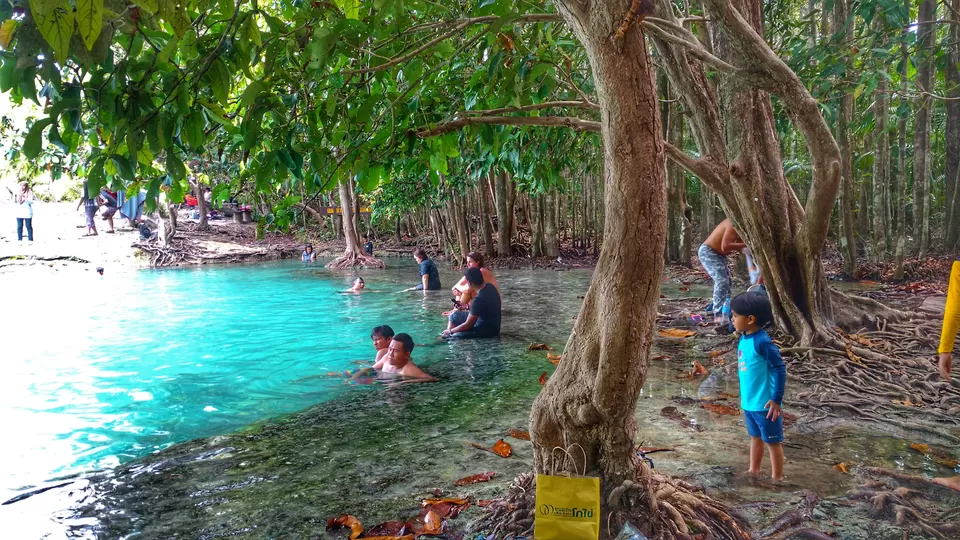 Photo of Emerald Pool Khlong Thom Nuea Krabi Thailand by MissDoLittle a.k.a Khushbu Jhaveri