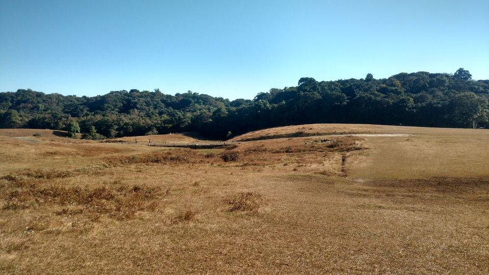 Photo of Mawphlang Sacred Grove, Mawsynram-Shillong Road, Synrang Kaban, Meghalaya, India by MissDoLittle a.k.a Khushbu Jhaveri